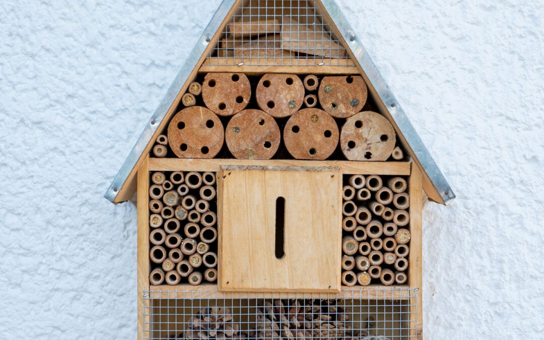 How—And Why—You Should Build A Bee Hotel In Your Backyard
