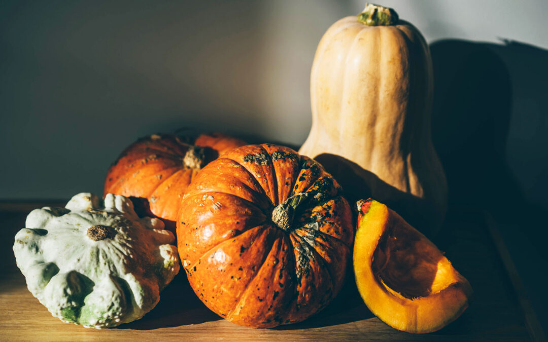 Pumpkins And Pests: How To Protect Your Gourds From Scary Bugs