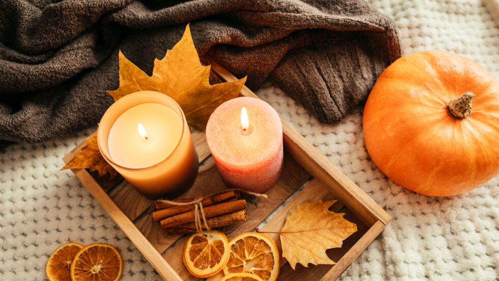 How To Keep Moths Out Of Your Clothes This Fall Eco Care Pest Management