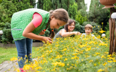 Garden Guardians: Protecting Your Plants from Late Summer Pests