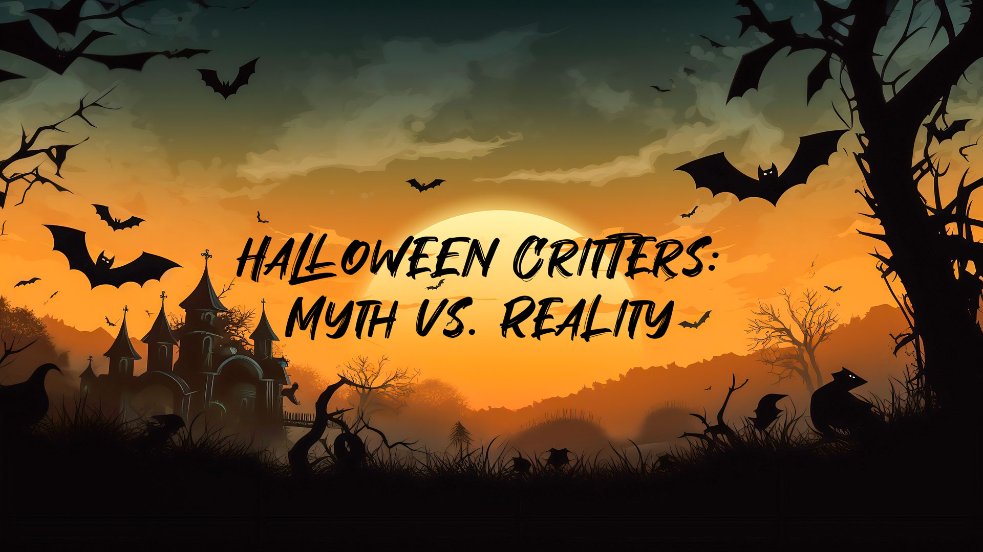 Spooky Pests: Unmasking the Real Critters of Halloween - Eco Care Pest