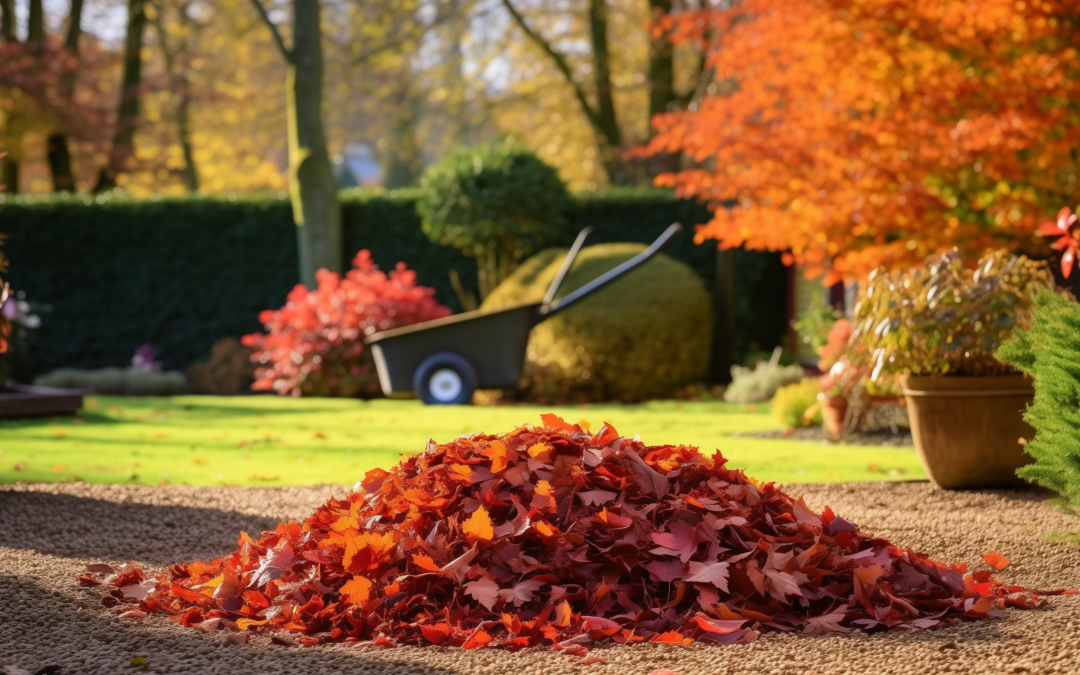 Leaf Pile Dangers