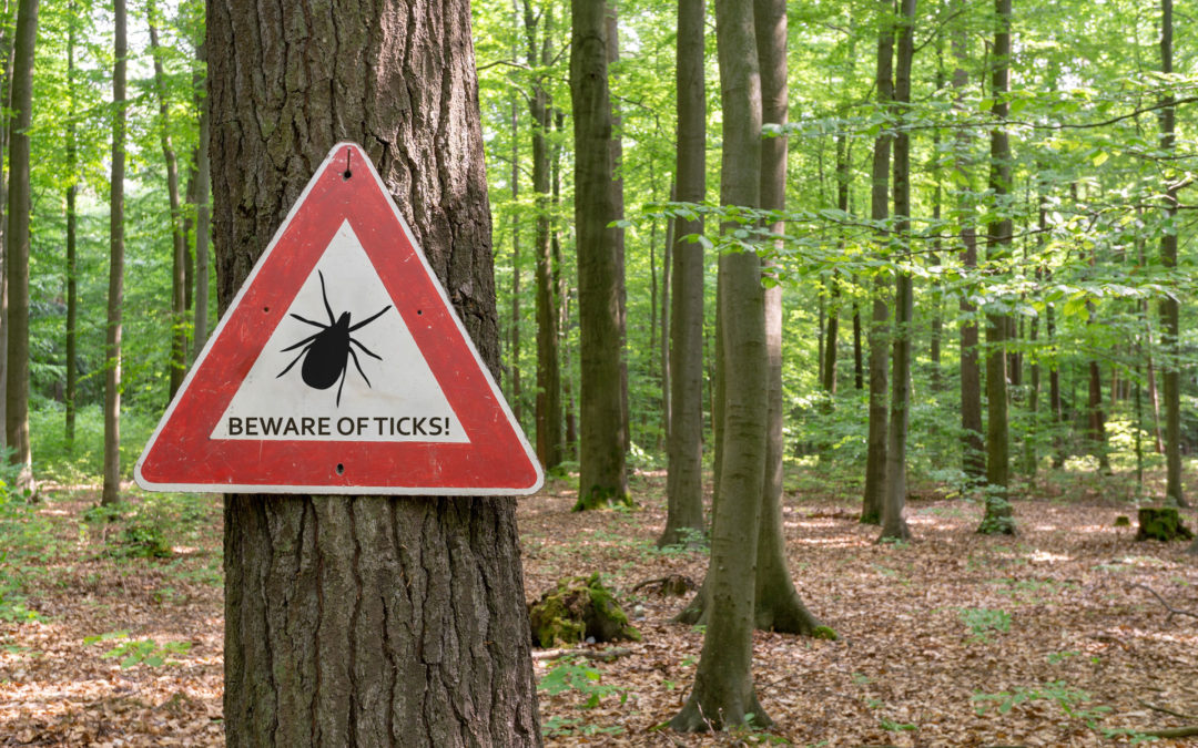 Springtime Is Tick Time. Learn How to Protect Yourself.